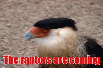 The raptors are coming | Generated image from gifs generated with the Imgflip Animated GIF Generator