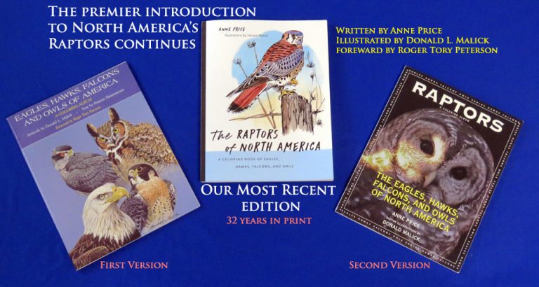 North American Raptors: The Best Intro Continues – Raptor Education ...